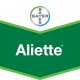 ALIETTE