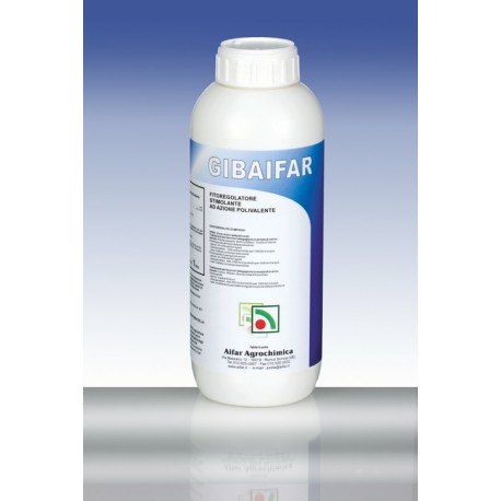 GIBAIFAIR