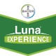 LUNA EXPERIENCE