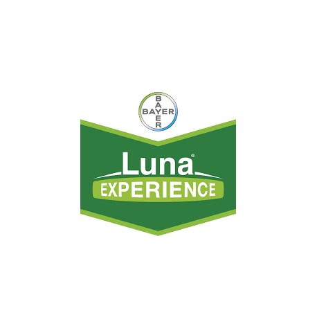LUNA EXPERIENCE