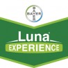LUNA EXPERIENCE