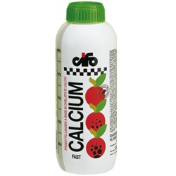 CALCIUM FAST