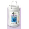 Prolectus