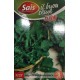 RUCOLA COLTIVATA A FOGLIA LOBATA