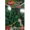 RUCOLA COLTIVATA A FOGLIA LOBATA