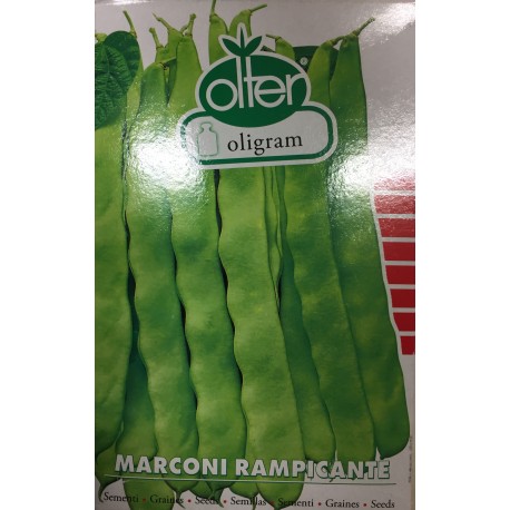 FAGIOLO MARCONI RAMPICANTE