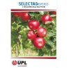 SELECTA DISPERSS