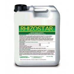 RHIZOSTAR