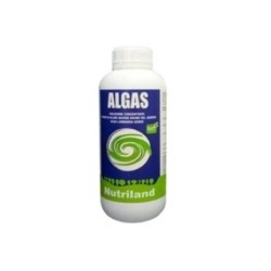 ALGAS