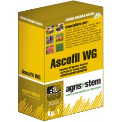 Ascofil WG
