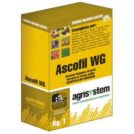 Ascofil WG
