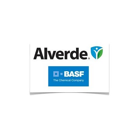 ALVERDE