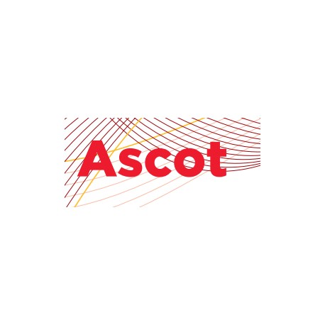 Ascot