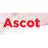 Ascot