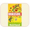 BRASSOIL