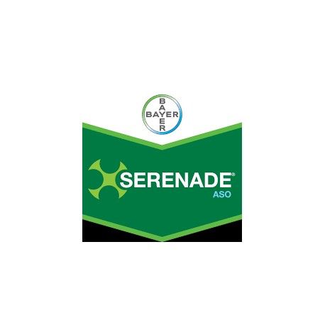 Serenade ASO