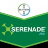 Serenade ASO