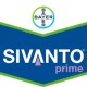 Sivanto prime