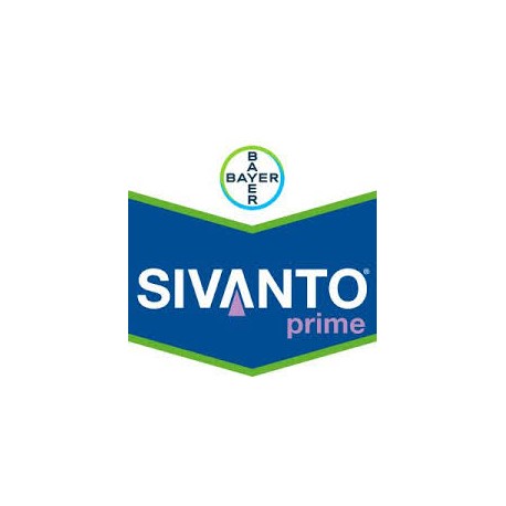 Sivanto prime