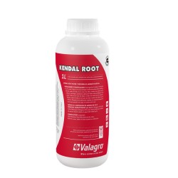 Kendal Root