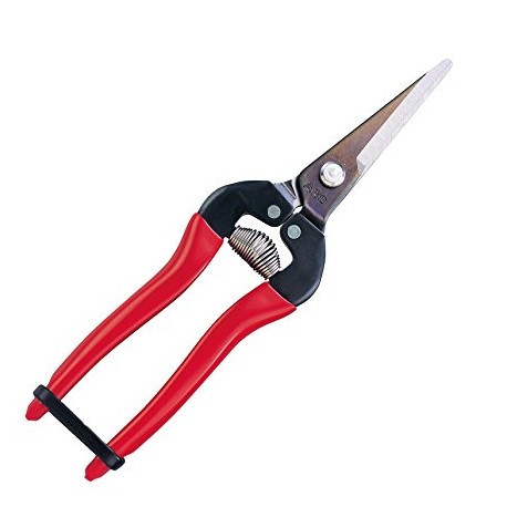 FORBICE RACCOLTA 300 SS