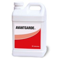 AVANTGARDE®