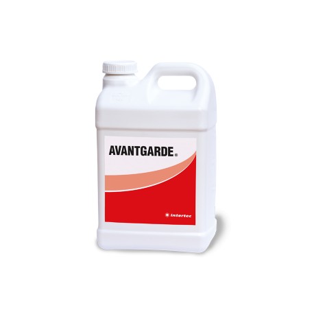 AVANTGARDE®