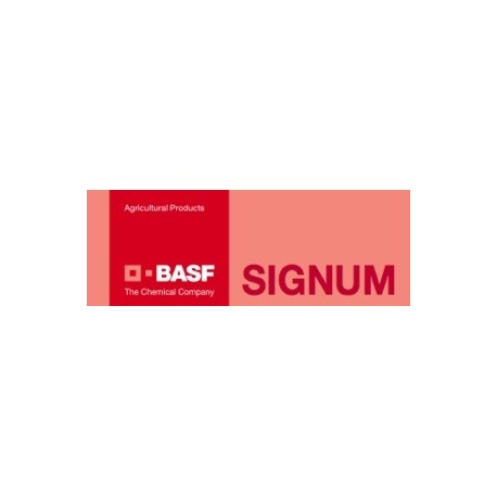 SIGNUM®