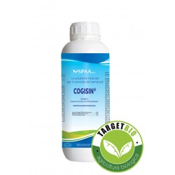 COGISIN®