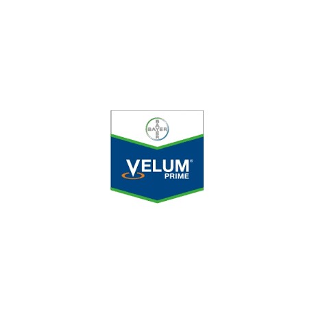 Velum Prime