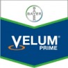 Velum Prime