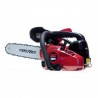 SH 25 MOTOSEGA DA POTATURA