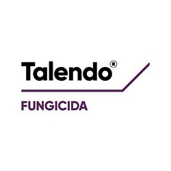 Talendo®