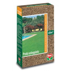 Prato Soleggiato