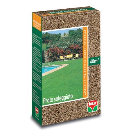 Prato Soleggiato