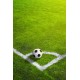 Prato SPORT PROFESSIONAL