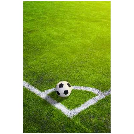 Prato SPORT PROFESSIONAL