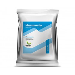 Magnyges Actyv