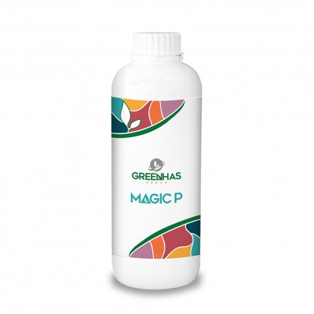 MAGIC P