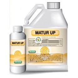 MATUR UP