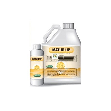 MATUR UP
