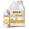 MATUR UP