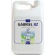 GABRIEL BZ