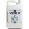 GABRIEL BZ