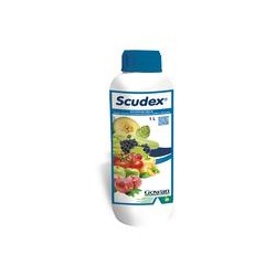 SCUDEX