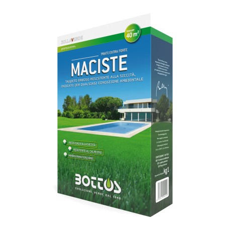 MACISTE BOTTOS