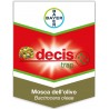 Decis Trap Olivo