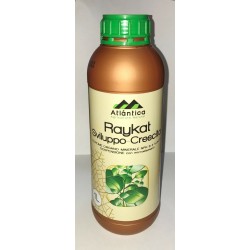RAYKAT SVILUPPO E CRESCITA