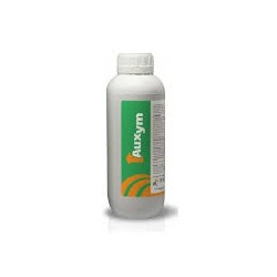 Auxym