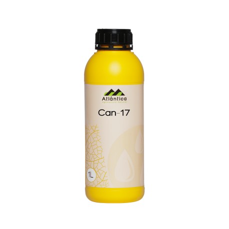 Can-17